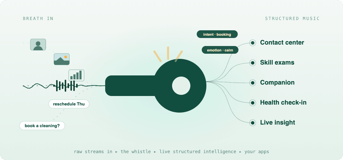 Whissle Is a Whistle: Raw Streams In, Live Structured Intelligence Out